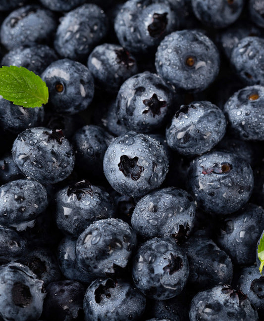 Dried Blueberries