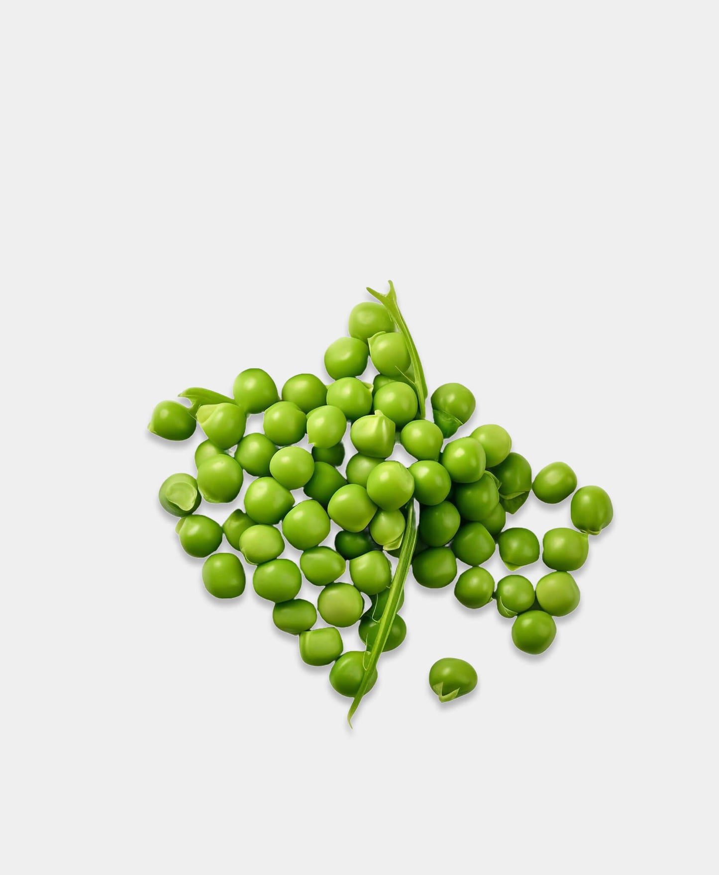 Zesty Green Mix