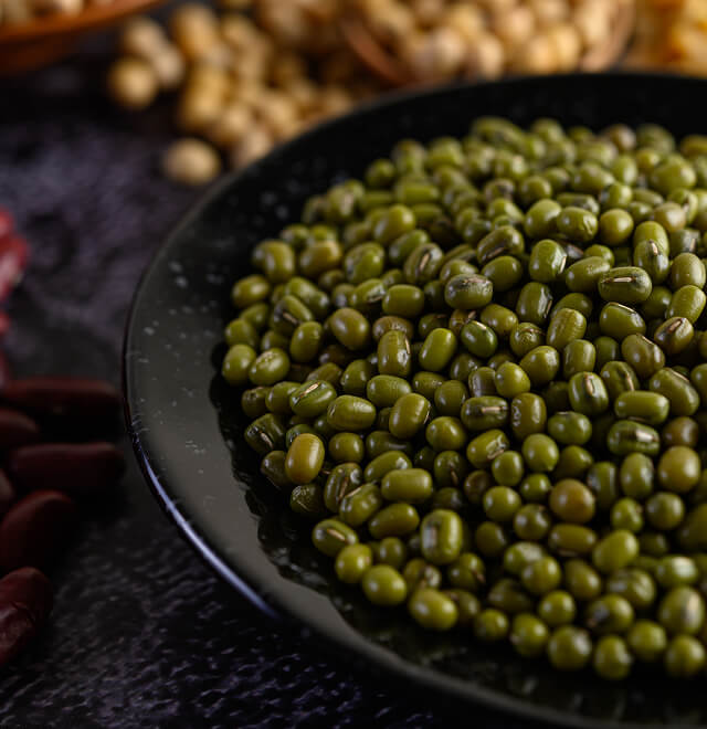 Vegan-can