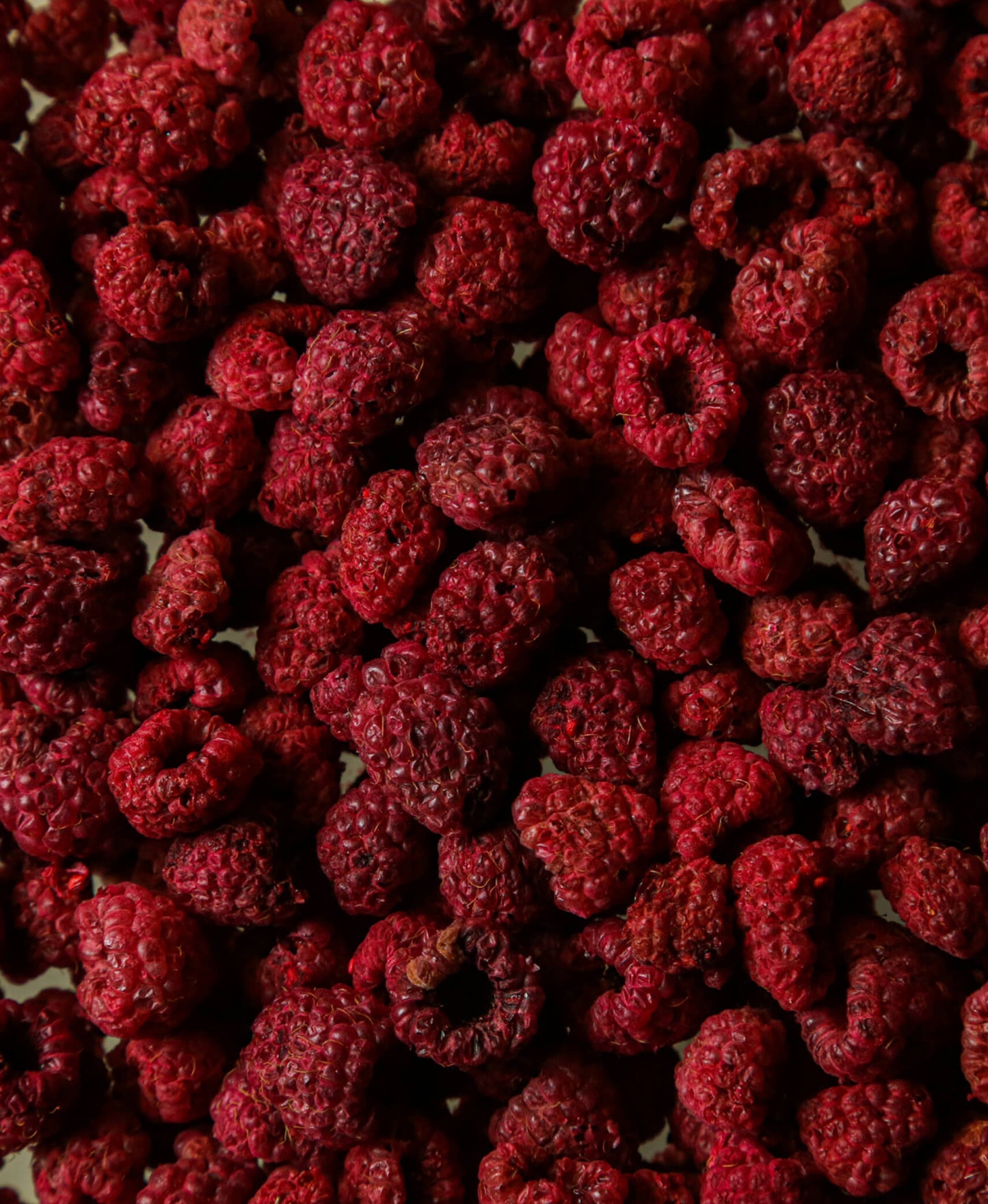 Freeze Dried Mulberry Crisp