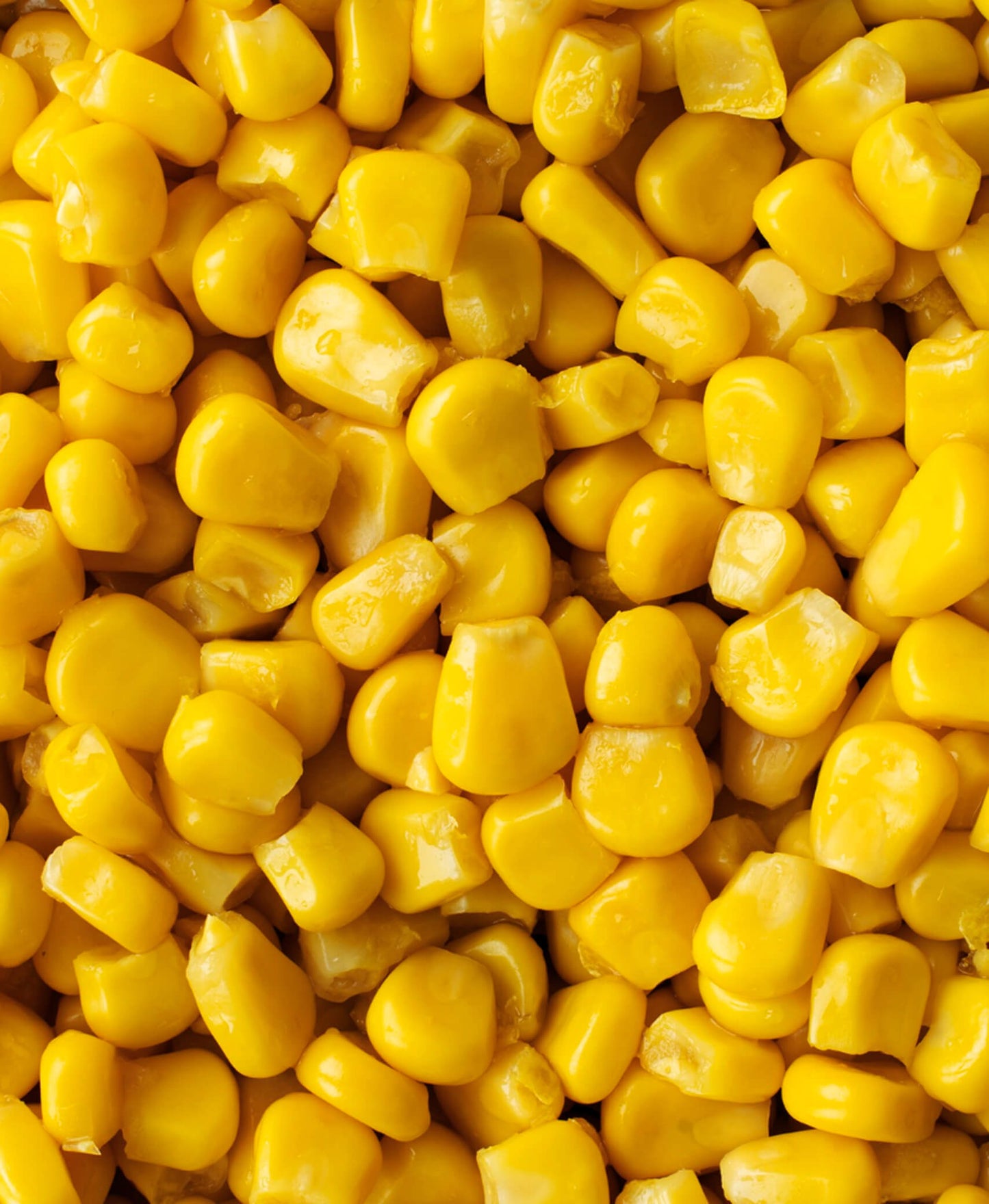 Sweet Corn Delight