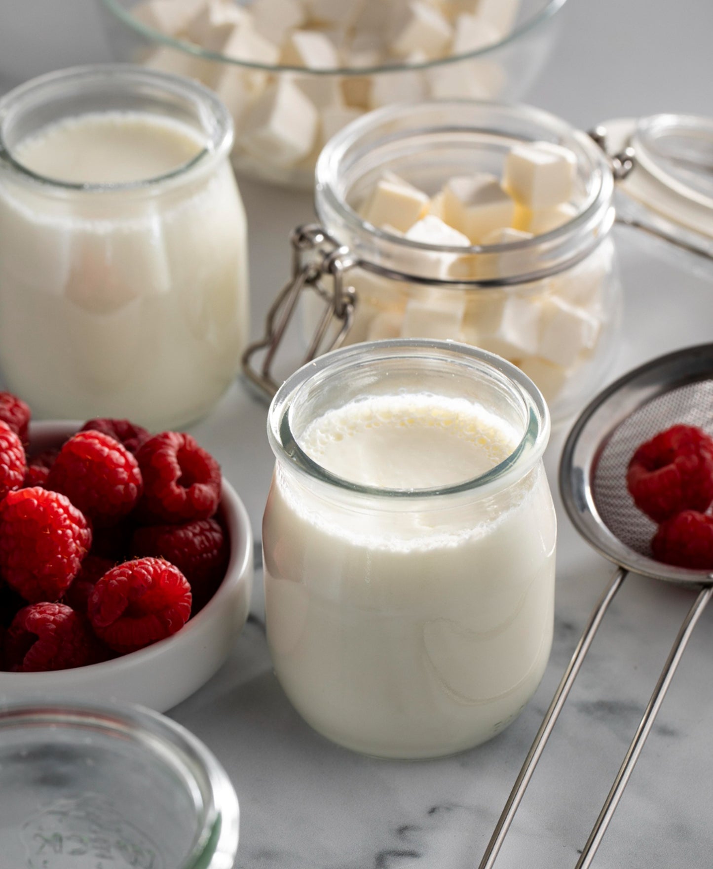 Plain Yogurt